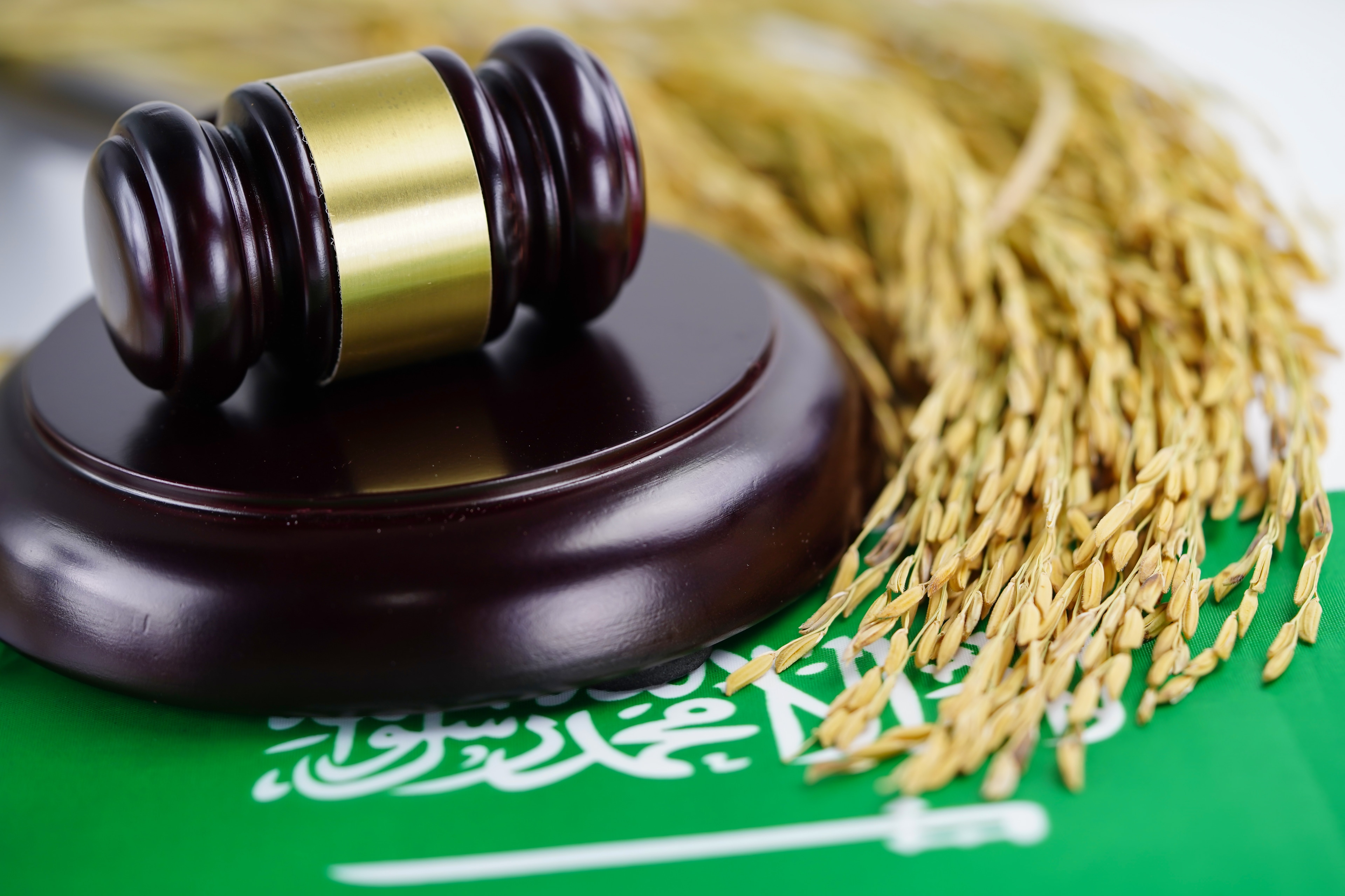 مستشار قانوني من نورثمان سترلينج ليجال يتشاور مع أحد العملاء